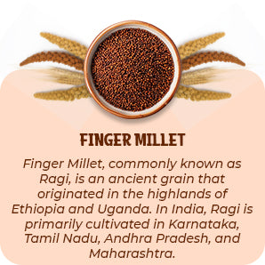 Finger Millet